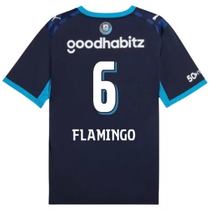 Flamingo #6 Koszulki Piłkarskie PSV Eindhoven 2026-27 Trzecia Męska