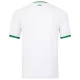 Irlandia Koszulka Piłkarska 2023 Wyjazdowa Męska