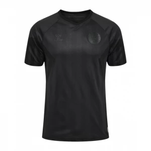 Koszulka Dania 2022 Alternatywna