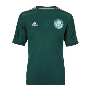 Koszulka Palmeiras 2014-15 Domowa