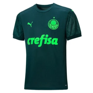 Koszulka Palmeiras 2020-21 Alternatywna