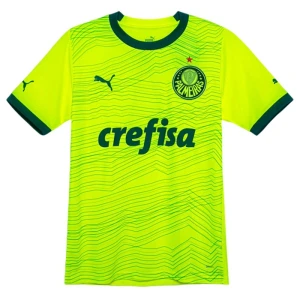 Koszulka Palmeiras 2023-24 Alternatywna