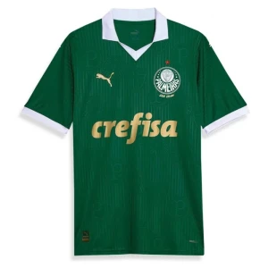 Koszulka Palmeiras 2024-25 Domowa