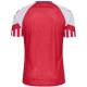 Koszulka Piłkarska Dania Mistrzostwa Europy 2024 Qualifying Domowa Męska