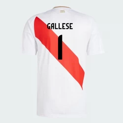 Koszulka Piłkarska Gallese #1 Peru Copa America 2024 Domowa Męska