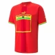 Koszulka Piłkarska Ghana Mistrzostwa Świata 2022 Wyjazdowa Męska