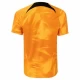 Koszulka Piłkarska Holandia Mistrzostwa Europy 2024 Qualifying Domowa Męska