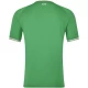Koszulka Piłkarska Irlandia Mistrzostwa Europy 2024 Qualifying Domowa Męska