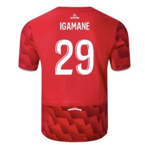 Koszulka Piłkarska LOSC Lille Igamane #29 2025-26 Domowa Męska