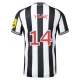 Koszulka Piłkarska Newcastle United Isak #14 2023-24 Domowa Męska