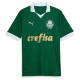 Koszulka Piłkarska Palmeiras 2024-25 Domowa Męska