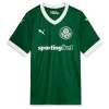 Koszulka Piłkarska Palmeiras 2025-26 Domowa Męska