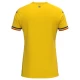 Koszulka Piłkarska Rumunia Mistrzostwa Europy 2024 Domowa Męska