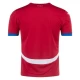 Koszulka Piłkarska Serbia Mistrzostwa Europy 2024 Domowa Męska