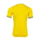Koszulka Piłkarska Ukraina Mistrzostwa Europy 2024 Qualifying Domowa Męska