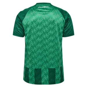 Koszulka Piłkarska Werder Bremen 2024-25 Domowa Męska