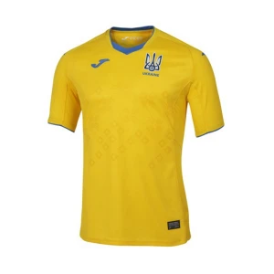 Koszulka Ukraina 2020 Mistrzostwa Europy Domowa