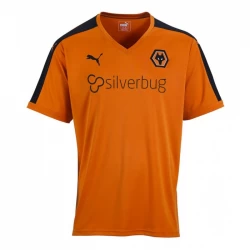 Koszulka Wolverhampton Wanderers 2015-16 Domowa