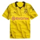 Koszulki Piłkarskie BVB Borussia Dortmund 2023-24 Cup Alternatywna Męska