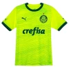 Koszulki Piłkarskie Palmeiras 2023-24 Alternatywna Męska