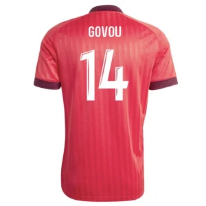 Olympique Lyonnais Koszulka Piłkarska 2026-27 Govou #14 Wyjazdowa Męska
