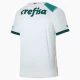 Palmeiras Koszulka Piłkarska 2023-24 Wyjazdowa Męska